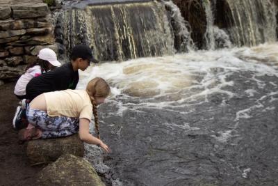 Charlotte Glasser, and Isaiah and Aria Hardaway watch the waterbed for herring. Photo by Anna Milton