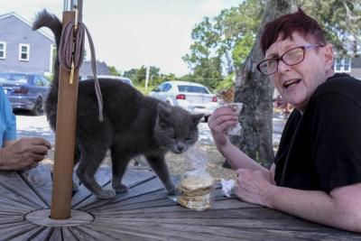 Lori Fallon, a Leominster resident, enjoys an ice cream cone with the company of a cat at Joyful Scoops, at 139 Thompson St., on Saturday, June 21.