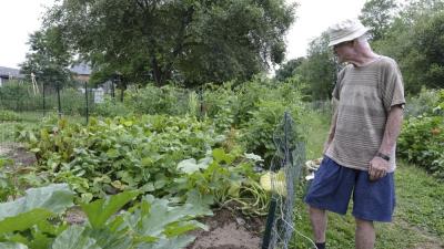 Lyons grows a bit of everything at his garden. Sugar-snap peas, cucumbers, squashes, ornamental flowers, leafy greens and tomatoes rotate through the garden.