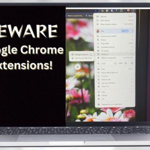 Google Chrome Extensions