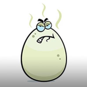water smells like rotten eggs,well water smells like rotten eggs,remove rotten egg smell from water