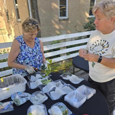 Diana Hunt (left ) and Pat Balise prepare supplies for the Monarchs over Middleboro event at the Peter H. Peirce Homestead
