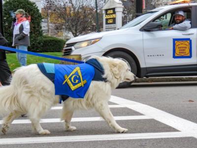 A dog wearing a Masonic emblem walks in the Middleboro parade. Photo by Grace Roche