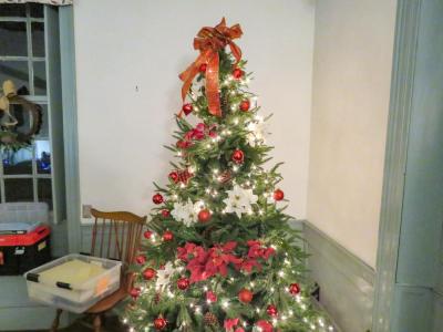 Christmas trees sat in many corners of the decorated house. 