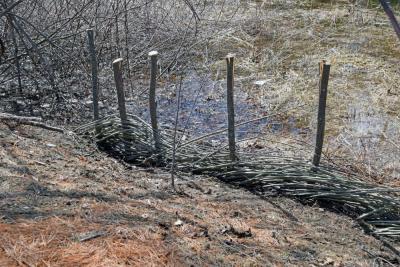 The living fence after having the whips woven in.