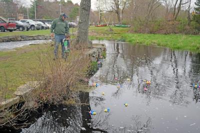 Ethan, 4, looks down at the ducks. 