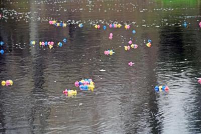 The duckies float gently down the lake.