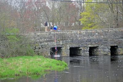 The Park Department dumps the ducks into the river. 