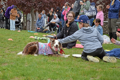 Moji enjoys pets from Sterling Anderson, age 5. 