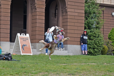 Mojo midjump. 