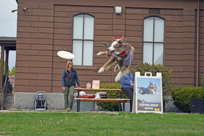 Mojo proves why he's a Flying High Dog. 