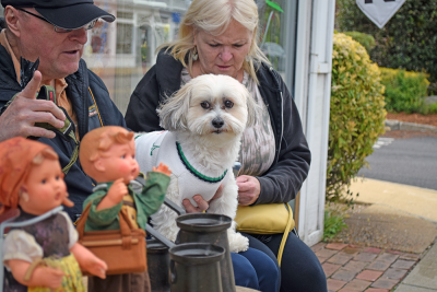 A dog was excited for potential customers to visit the antique table.
