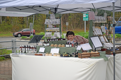 Josiah Ponte, age 6, helps man a vender table at the Lakeville plant sale.