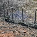 The living fence after having the whips woven in.