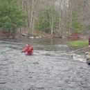 A volunteer gets the duckies out of the stream. 