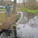 Ethan, 4, looks down at the ducks. 