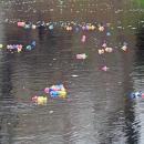 The duckies float gently down the lake.