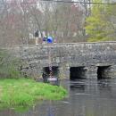 The Park Department dumps the ducks into the river. 