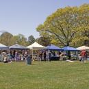 Lakeville Day