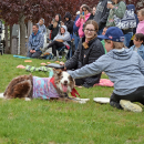 Moji enjoys pets from Sterling Anderson, age 5. 