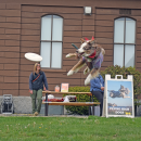 Mojo proves why he's a Flying High Dog. 