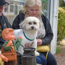 A dog was excited for potential customers to visit the antique table.