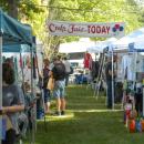 Visitors peruse the various booths.