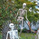 A skeleton watches over S Main St. from his throne, while another peers over its shoulder with its dog. Photo by Christian Uva