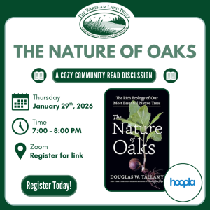 Listing for community read of "The Nature of Oaks" by Doug Tallamy with the Wareham Land Trust on zoom Thursday January 29th at 7pm