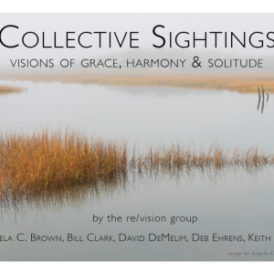 Collective Sightings - Photograph by Angela C. Brown