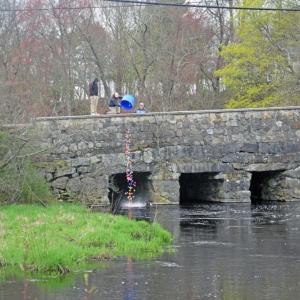 The Park Department dumps the ducks into the river. 