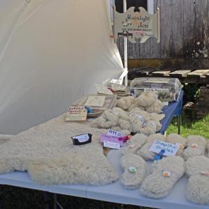 Sheep