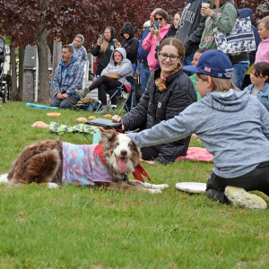 Moji enjoys pets from Sterling Anderson, age 5. 