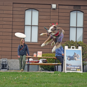 Mojo proves why he's a Flying High Dog. 