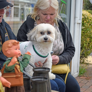 A dog was excited for potential customers to visit the antique table.
