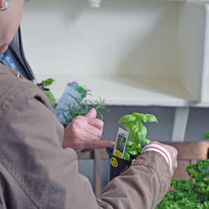 Customers discussing the herbs available for purchase at the Lakeville plant sale. 