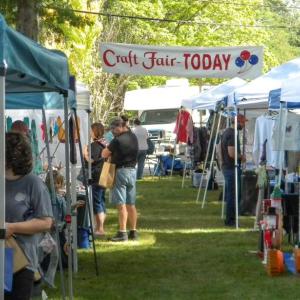 Visitors peruse the various booths.
