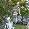 A skeleton watches over S Main St. from his throne, while another peers over its shoulder with its dog. Photo by Christian Uva